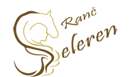 Selah Coaching logo
