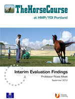 Interim Evaluation Report