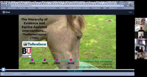 Zoom video of The hierarchy of evidence and equine assisted interventions