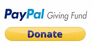 PayPal Donate