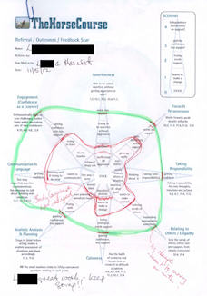 feedback star accessed